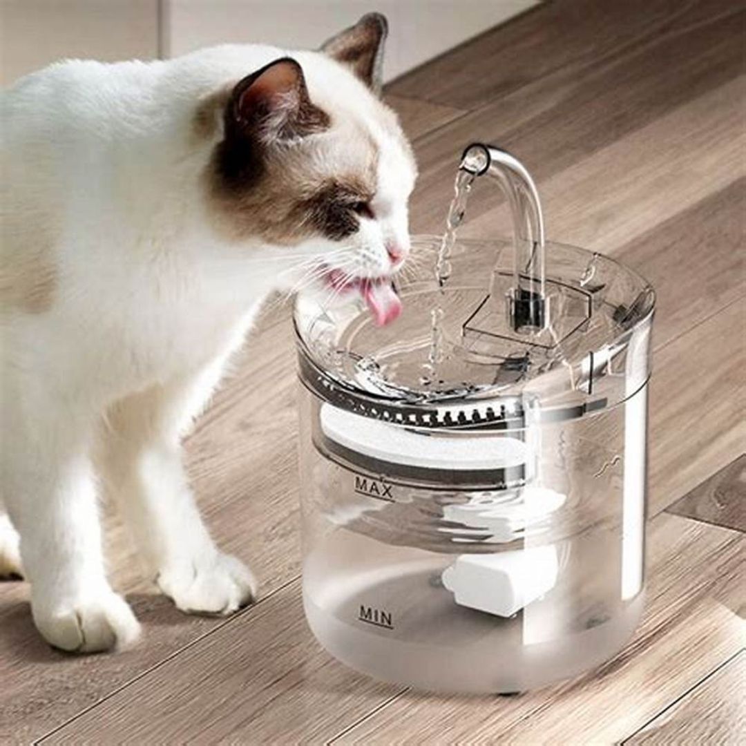 Automatic Pet Drinking Dispenser with USB Charging, Silent Adjustable Water Pump, Includes 1 Filter Replacement, Plastic, for Indoor Cats and Kittens